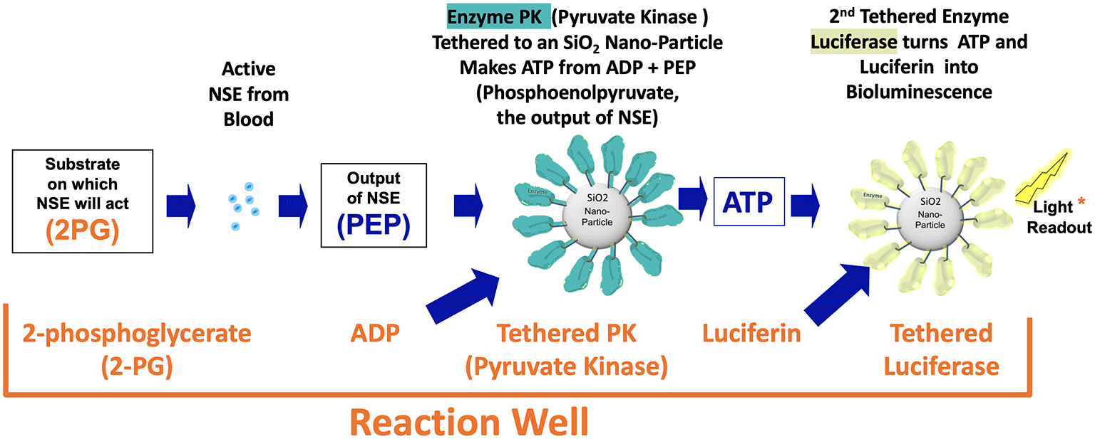 product-catalytic-reaction-02