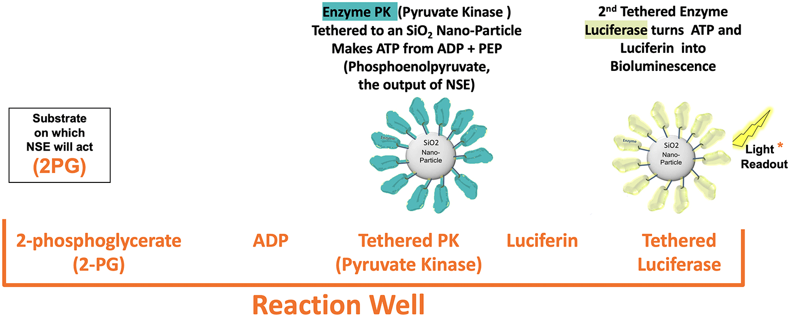 prroduct-catalytic-reaction