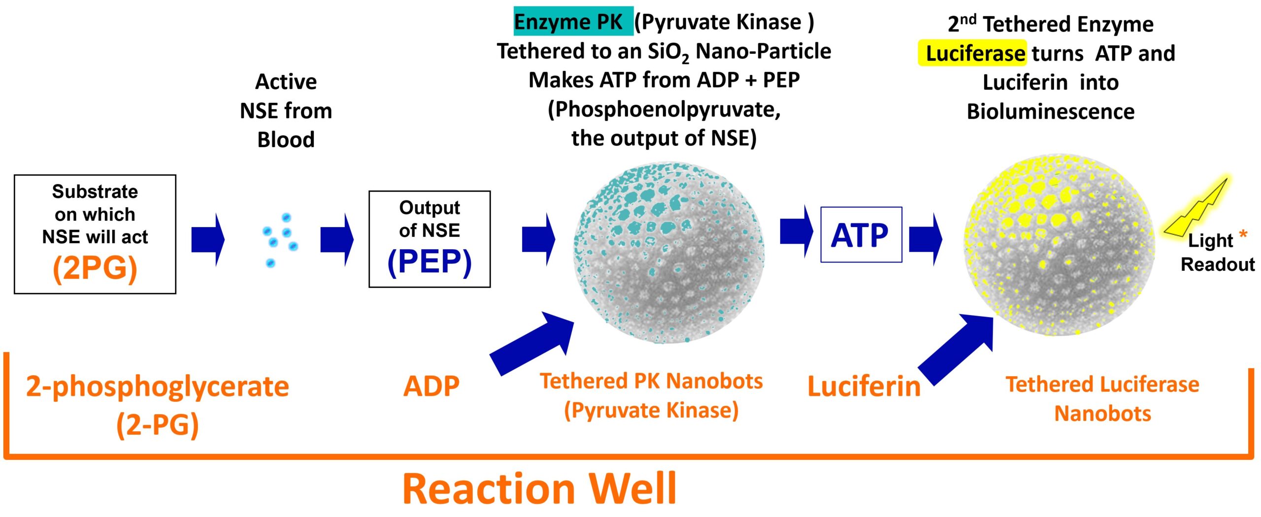 NSEfast with new nanobots