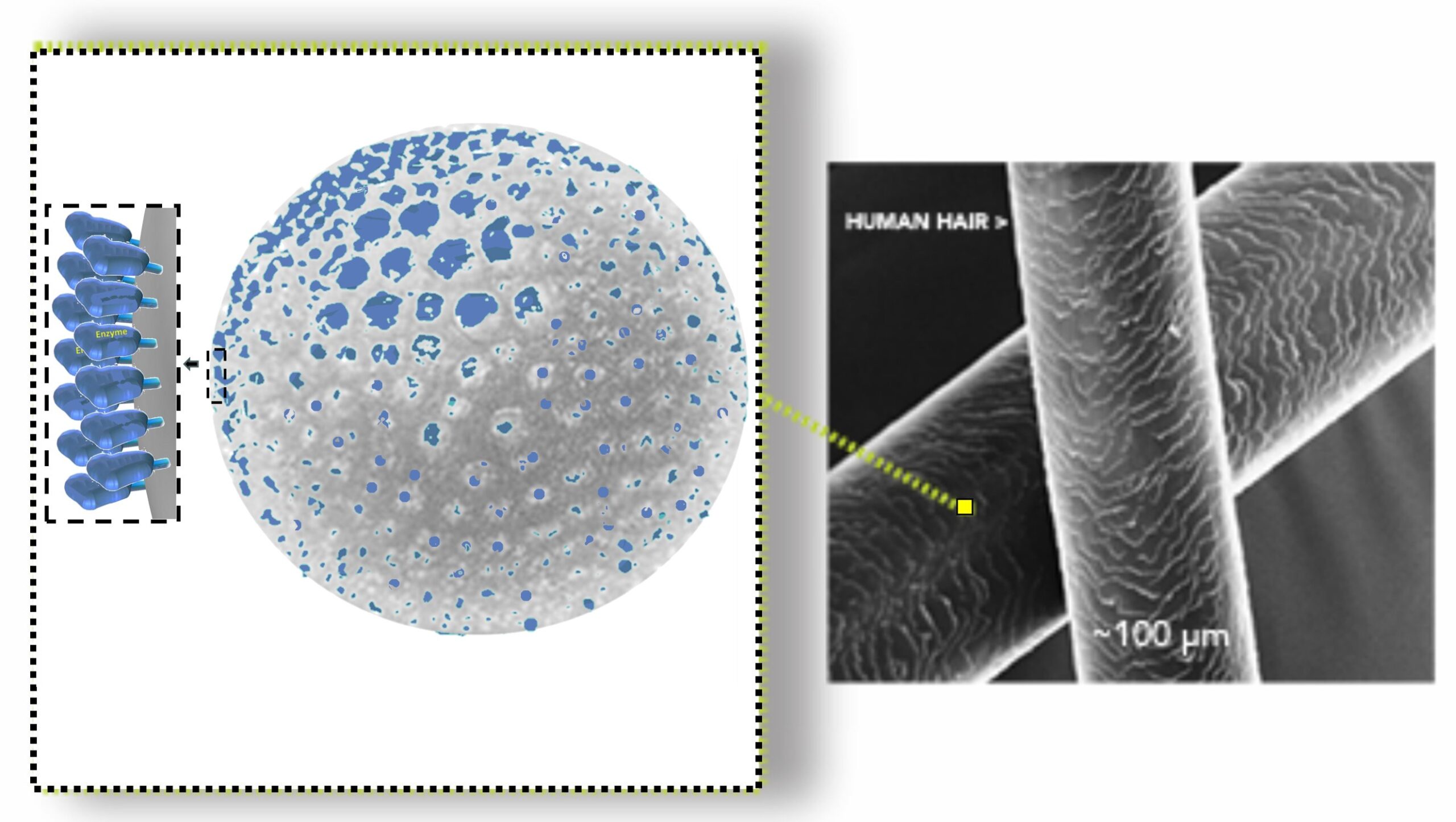 new nanobot with hair